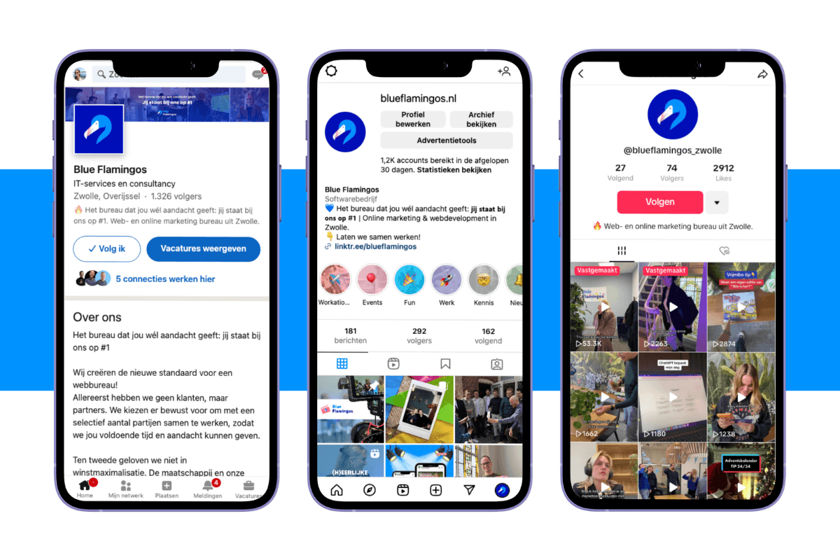 3 telefoons met de socials van Blue Flamingo's op geopend