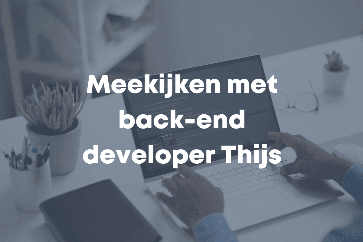 blog afbeelding blue flamingos