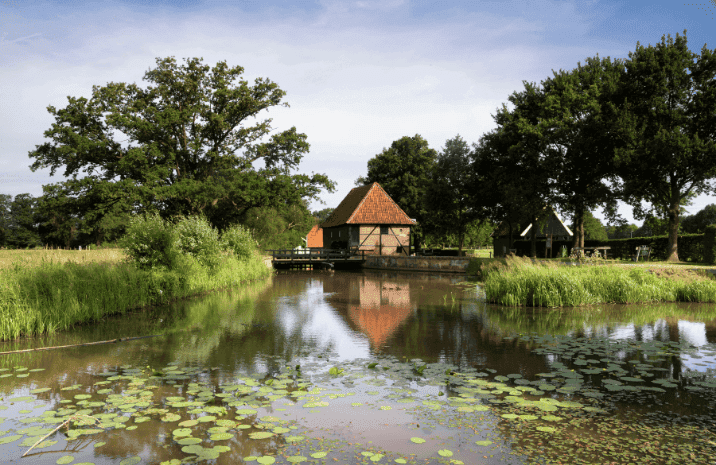 Project afbeelding