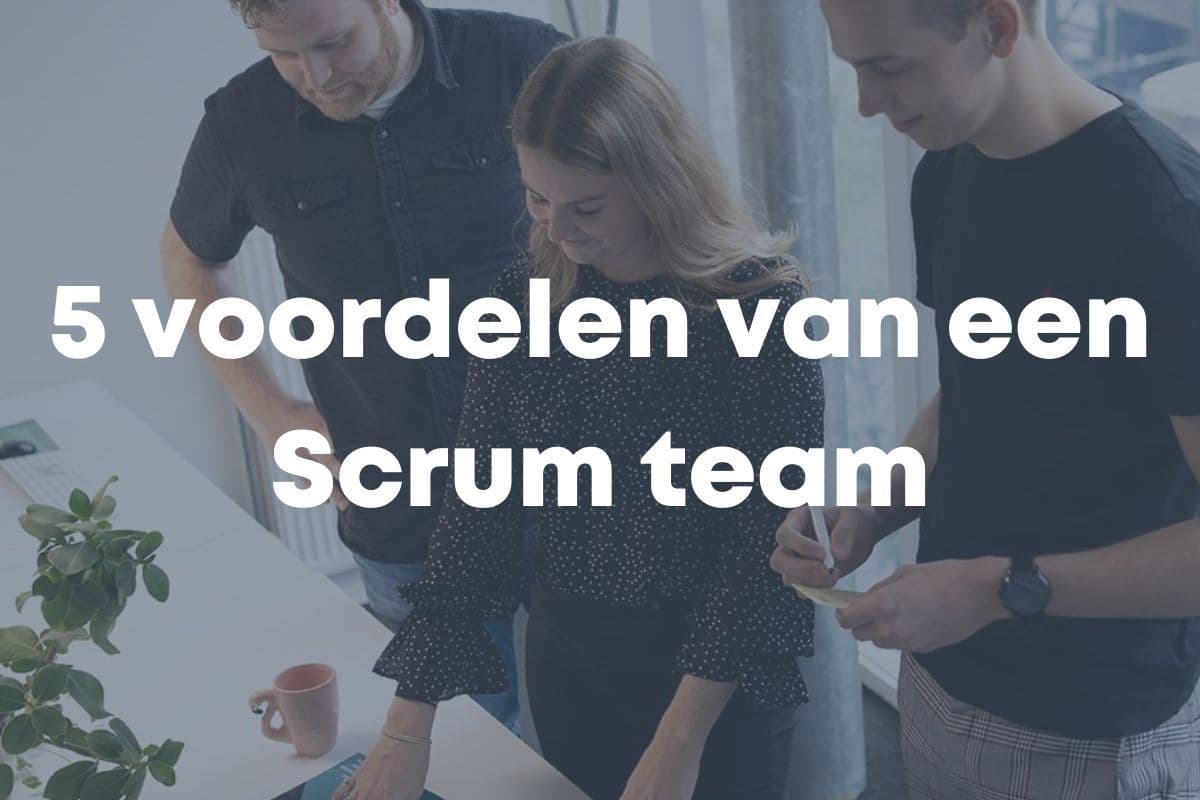 voordelen van een Scrum team visual.jpg